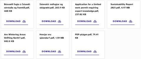 Sýnishorn af skjalasafni á vef HÍ